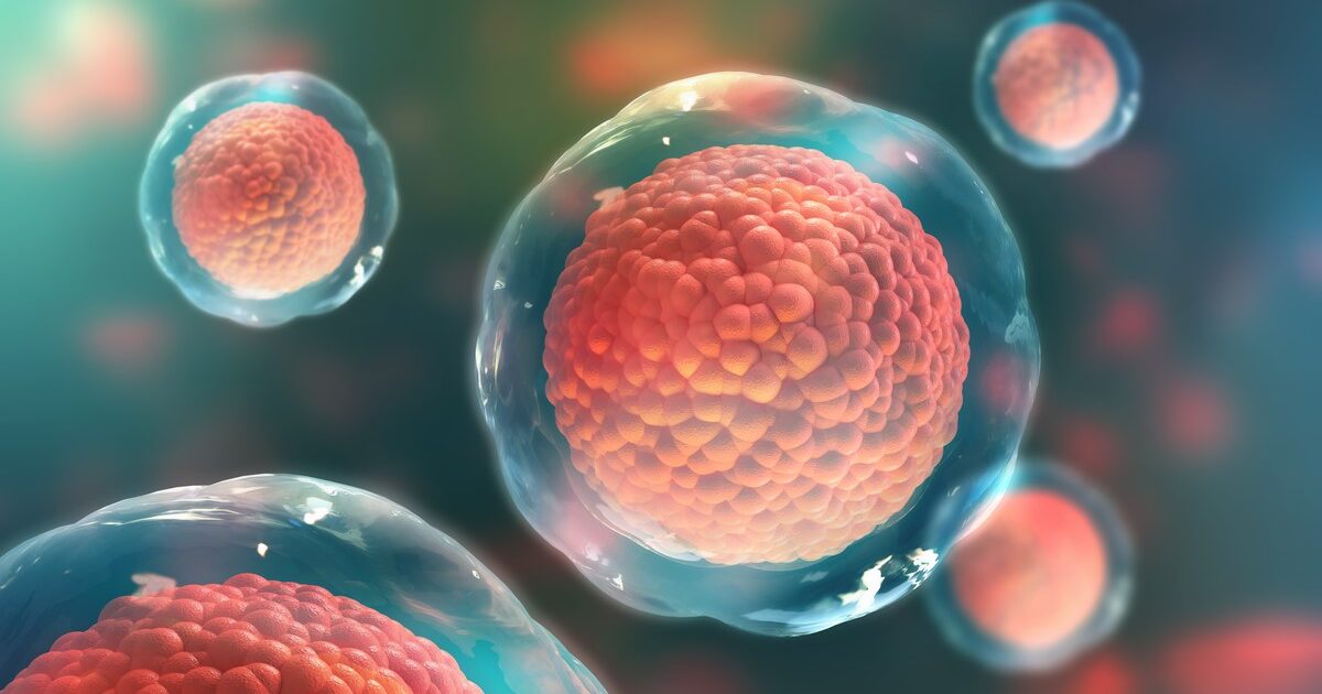 دراسة "هامة جدا" تعطي لمحة غير مسبوقة عن مرحلة غامضة من الجنين البشري! خلايا جذعية