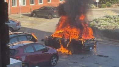 سائق التاكسي