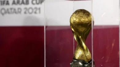 كأس العرب فيفا