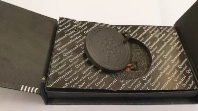 122272944 122268829 quantum pendant.jpg