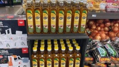 269851701 633959241380775 88690710612269430 n 510x470 1