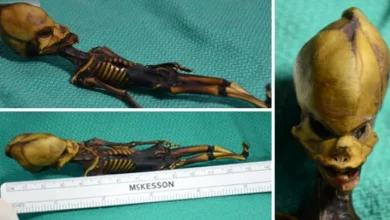 sec 4752090 768x403 1