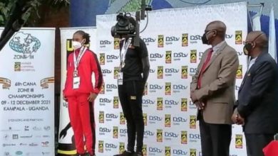 عزة عادل 768x470 1