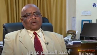 عبد العظيم عوض مجلس الصحافة