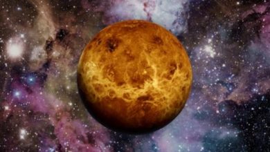 كوكب الزهرة