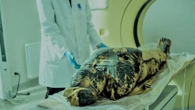 مومياء حامل