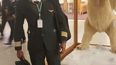 FB IMG 1645293425898