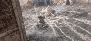 FB IMG 1645472975685