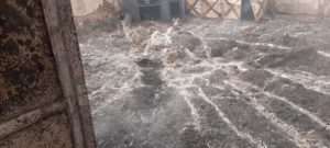 FB IMG 1645472993766