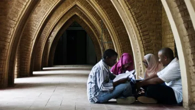 لجنة أساتذة جامعة تتمسك بالإضراب حتى إجازة الهيكل الراتبي الجديد طلاب طلبة جامعة