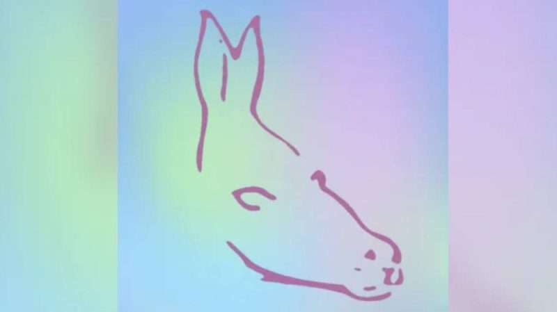 سمكة ولا حورية بحر