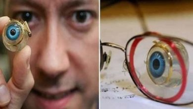 FB IMG 1647112166139