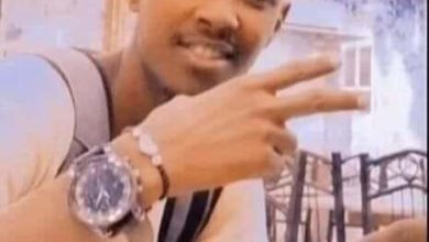 FB IMG 1647536145534