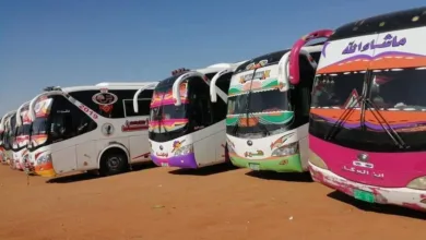 البصات السفرية