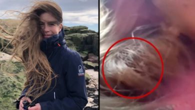 عصفور شعر فتاة