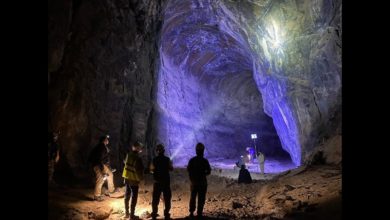 ماكر الشياهين