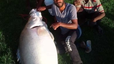 FB IMG 1648921945261