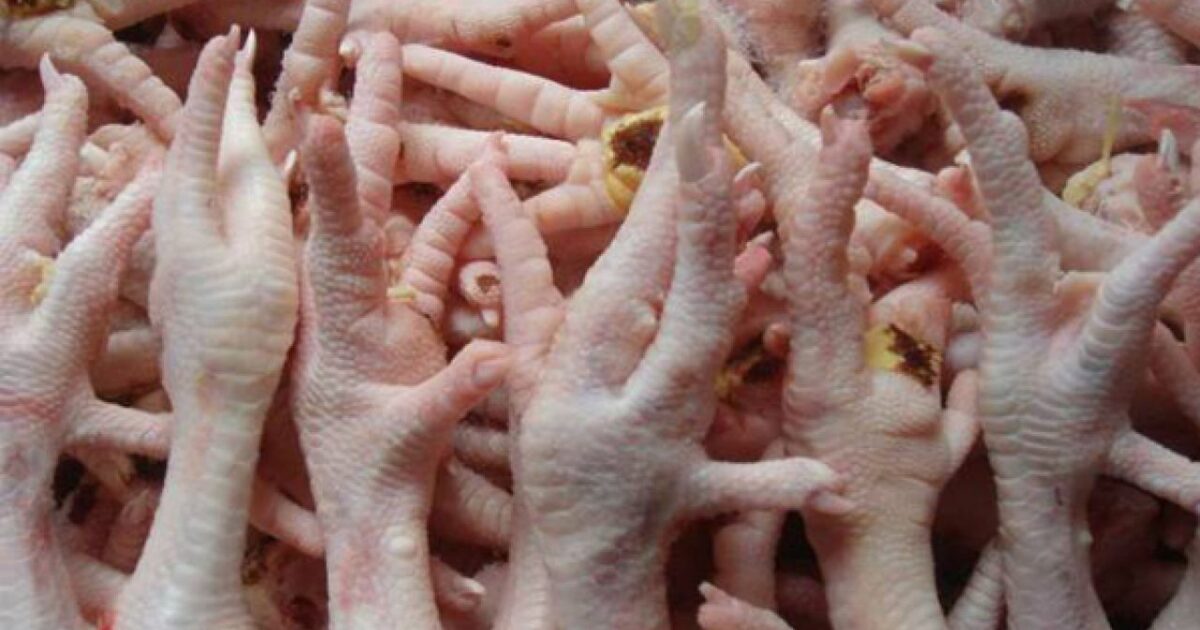 ماذا يحدث عند تناول عظام الدجاج؟ benefits of eating chicken legs