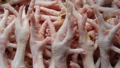 طن من لحوم الدواجن مجهولة المصدر في أسواق الرياض.. و"البيئة" تتدخل benefits of eating chicken legs