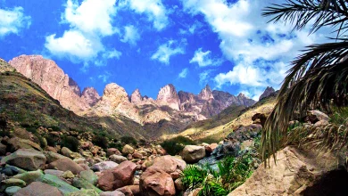 جبل رضوى ينبع