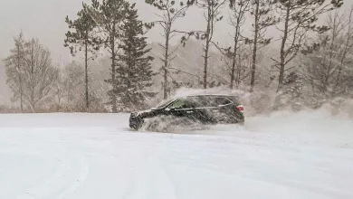 عاصفة ثلجية