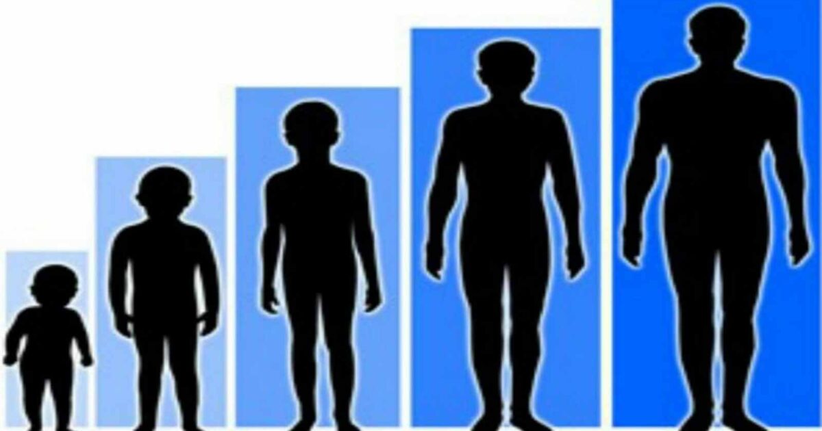 5 أطعمة تساعد على زيادة الطول قصر القامة