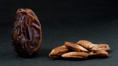 بمشاركة محلية ودولية انطلاق المهرجان الدولي الرابع للتمور السودانية نواة التمر