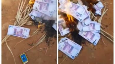 شاهد.. فيديو متداول لـ"سوداني" يشعل النيران في ملايين الجنيهات! حرق عملات مزورة الجنيه السوداني