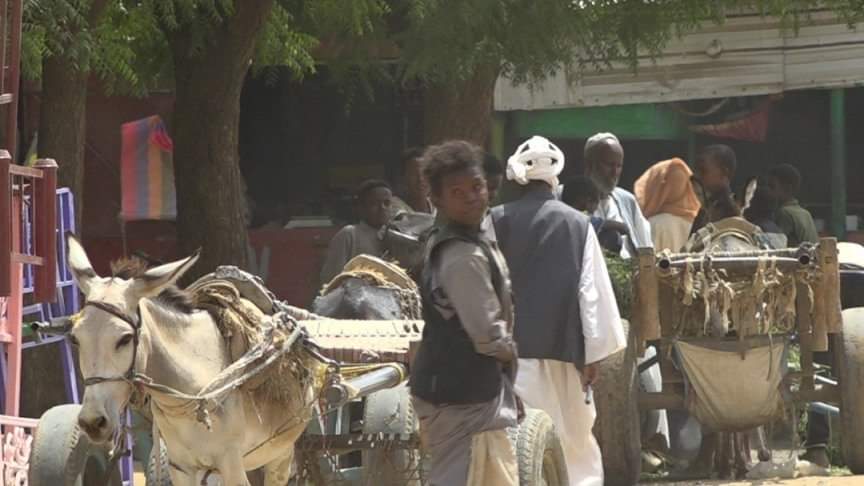 السودان... تدهور اقتصادي مستمر وثروات ضائعة حمار كارو سوق