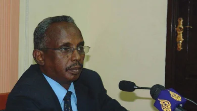 عثمان ميرغني في حديث لإحدى الفضائيات