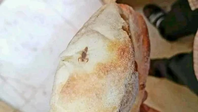 عقرب عيش رغيف خبز