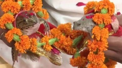 2690bc69 dc81 4266 b643 7fc6f17643fa