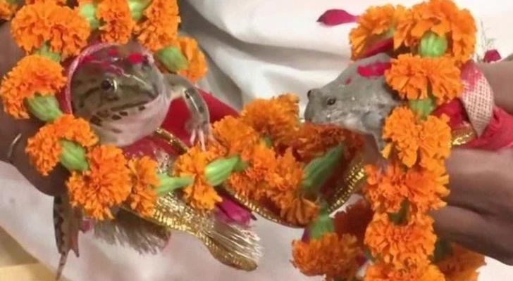 2690bc69 dc81 4266 b643 7fc6f17643fa