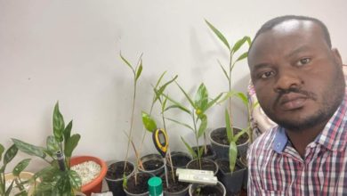 FB IMG 1659069256327 768x431 1