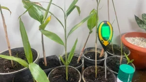 FB IMG 1659069260662 768x432 1