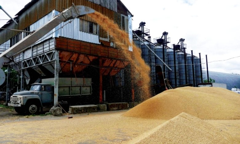 10 ايام تفصل العالم عن بداية تصدير قمح اوكرانيا image 10