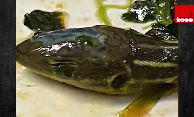 شاهد وجبة مخيفة على متن طائرة.. أسوأ مما تتوقع maxresdefault 10