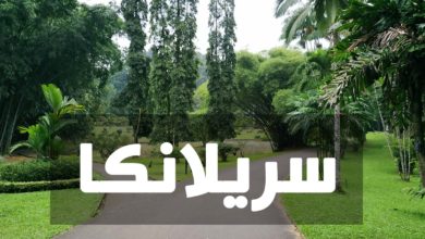 الرئيس السريلانكي في أول رد بعد هروبه من القصر الرئاسي سريلانكا