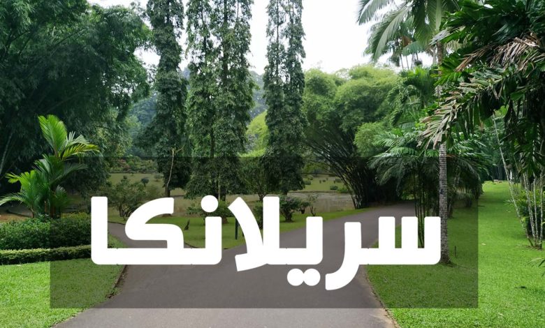 الرئيس السريلانكي في أول رد بعد هروبه من القصر الرئاسي سريلانكا