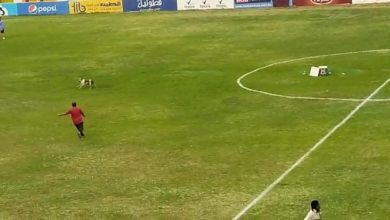 كلب يقتحم مباراة الهلال و توتي