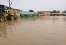 انهيار 224 منزلاً كلياً جراء الأمطار بالجزيرة امكار فيضان سيول