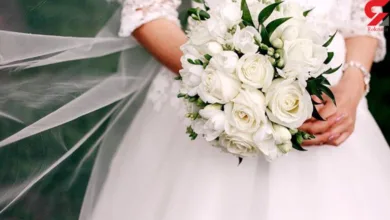 عروس 1 768x433 1