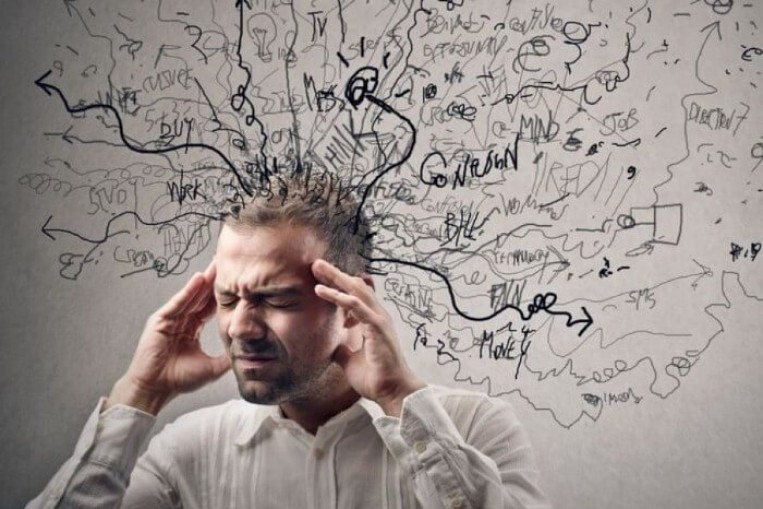 تتعلم وتتعاون وتغش مثل البشر.. أسطورة "ذاكرة السمك" تتحطم فقدان ذاكرة 2