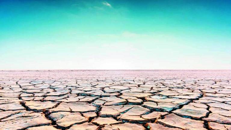 ظاهرة تُهدّد بانقراض نصف مخلوقات الأرض الاحتباس الحراري