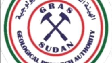 هيئة الابحاث الجيولوجية 768x813 1