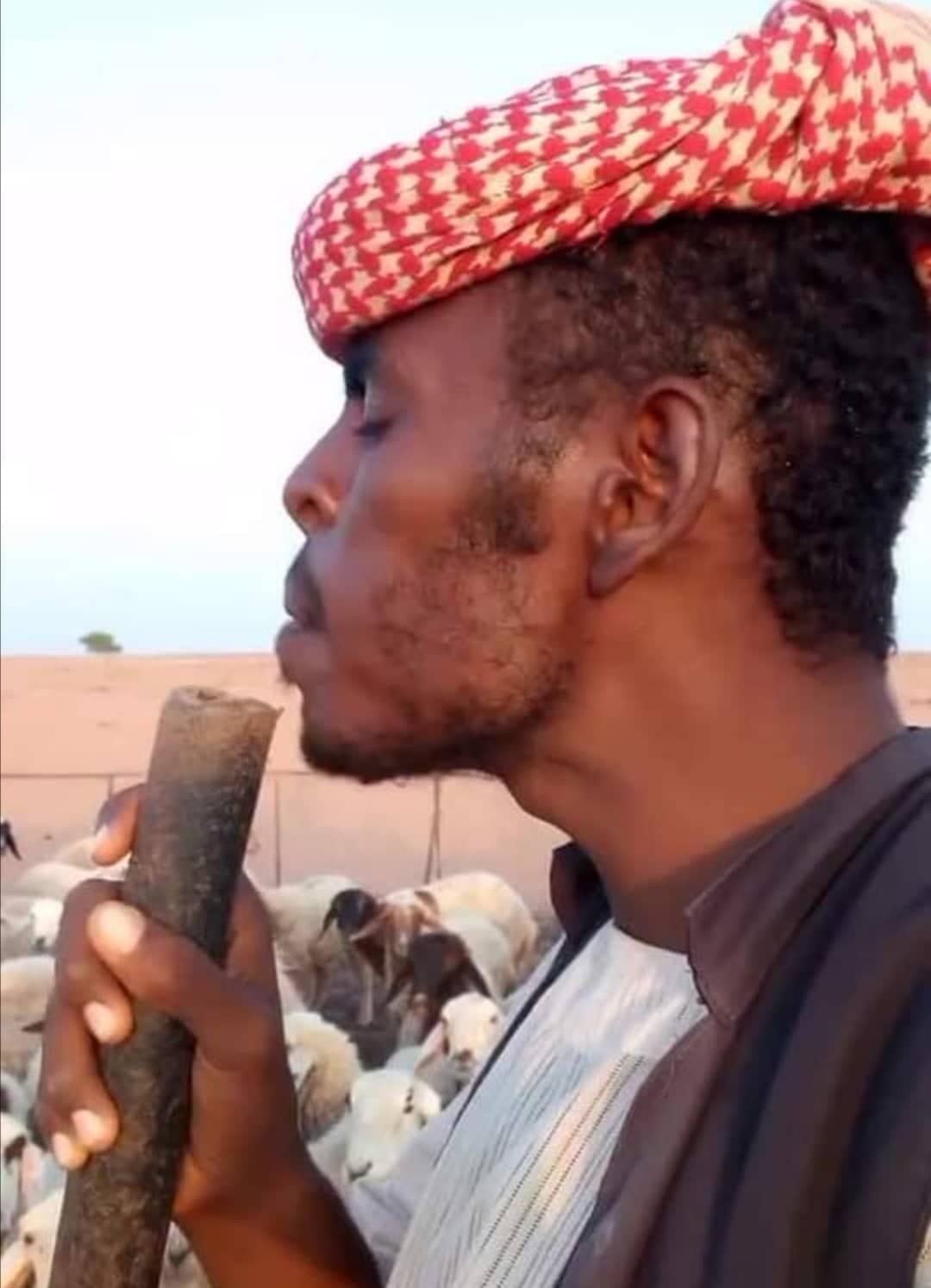 شاهد بالفيديو.. أشهر راعي سوداني بالسعودية يشارك أغنامه (الونسة) ويطالب زملائه باتباع أسلوبه (مافي حل غير تتونس مع البهائم عشان تملأ برنامجك) راعي اغنام