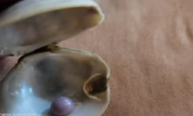 لؤلؤة 780x470 1