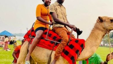 FB IMG 1666212486443 720x470 1