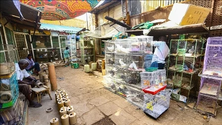 سوق العصافير 1 jpg