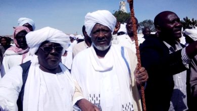 علي محمود